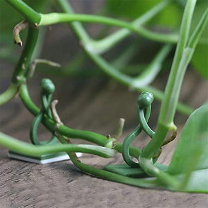 Wall Plant Clips for Climbing Plants - 110Pcs Green Vine Plant Support Plastic Clips Plant Accessories Self Adhesive Clips for Hanging plant hooks indoor - Self Adhesive Cable Clips Wall Plant Holder