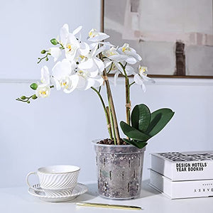 TRUEDAYS Clear Orchid Pot with Holes(4-Pack) - 6 inch - Plastic Pots for Plants, Flower