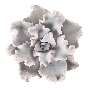 2" Rare Succulent Echeveria Crispate Beauty, Live Succulents Plants Fully Rooted in Grower Pots, Home Office Decor, Unique Gift for Wedding Favor, Party Favor