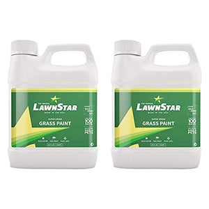 LawnStar Grass Lawn Plant Safe Paint Concentrate Retouch Colorant for Dead Dry Grass with 500-1,000 Square Ft Coverage, 32 Ounce, Lush Green (2 Pack)