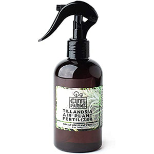Cute Farms Tillandsia Air Plant Fertilizer | Gentle Weekly Use Formula Plant Food with Care Guide | Formulated Nutrients (8 oz. Spray Bottle)