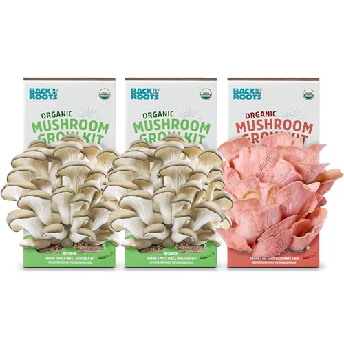 Back to the Roots Organic Mushroom Grow Kit 3-Pack: Oyster, Oyster & Pink-Harvest Gourmet Mushroom in Just 10 Days