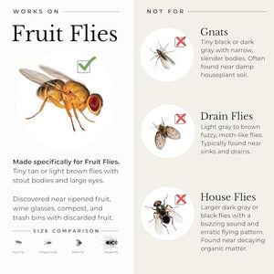 Wondercide - Fruit Fly Trap for Kitchen, Home, and Indoor Areas - Fruit Fly Killer - Pet and People Safe - Made in USA & Plant Based - 5.4 oz - 2 Pack