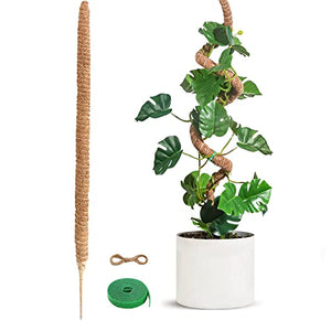 Tall Moss Coir Pole, 63'' Moss Coir Poles for Plants Monstera, Bendable for Moss Coir Pole Plant Lover Gifts, Tall Coco Coir Plant Support for Climbing Plants