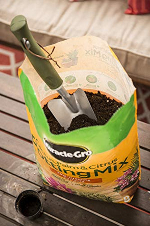 Miracle-Gro Cactus, Palm & Citrus Potting Mix 2-Pack