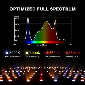 Spider Farmer SF1000 LED Grow Light with Samsung LM301H EVO & Dimmable Lighting Full Spectrum Grow Light for Indoor Plants Veg Bloom Growing Lamps for 2x2/3x3 Grow Tent 3.14 umol/J Efficiency