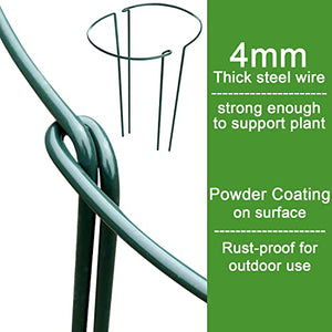 HiGift 6 Pack Plant Support Plant Stakes, Metal Peony Cages and Supports, Outdoor Garden Stakes Plant Cage, Large Plant Support Rings for Tomato,Rose,Flowers Vine,Indoor Tall Plants (10" W x 15.8" H)