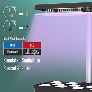COLIBEN 12 Pods Hydroponics Growing System,Indoor Garden with 36W Full Spectrum LED Grow Light, Timer,18.5" Adjustable Height, Silent Pump,4.5L Water Tank,Herb Garden Germination Kit (2nd Generation)