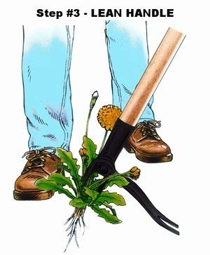 Grampa's Weeder - The Original Stand Up Weed Puller Tool with Long Handle - Made with Real Bamboo & 4-Claw Steel Head Design - Easily Remove Weeds Without Bending, Pulling, or Kneeling