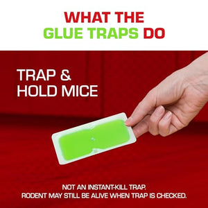 Tomcat Super Hold Glue Traps Mouse Size, Contains 4 Traps - Captures Mice - Also Used for Cockroaches, Scorpions, Spiders and Many Other Pests
