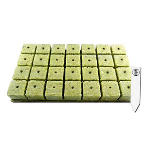 1.5" Rockwool Starter Plugs, 1 Sheet of 28 Plugs + 1 THCity Stake