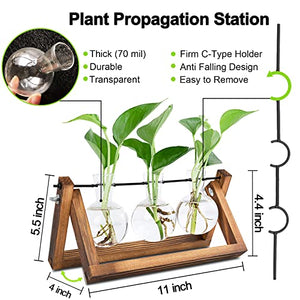 RENMXJ Plant Propagation Station, Gifts for Women, Home Office Garden Decor Planter(3 Bulb Vase)