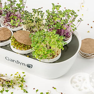 Gardyn Complete Microgreens Growing Kit (Fits on All Gardyn Hydroponics Growing System Indoor Garden Base) Includes Gardyn Nursery, 20 Seed Pads, Bamboo Wicks and 10 Reusable Grow Plates