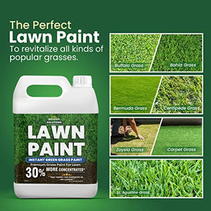 PetraTools Lawn Paint, Green Grass Lawn Spray Grass Paint For Lawn, Green Grass Spray For Lawn & Grass Spray Paint Grass Green, Green Dye for Lawn Spray on Grass (1 Gal)