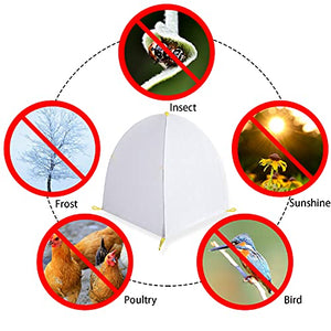 DECOHS 35 x 35 x 39 Inch Warm Plant Protection Tent-Winter Shrub Covers-Winter Snow & Frost Covers Protecting Fruit Tree Potted Plants from Freezing Animals Eating