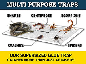 MaxGuard Extra Large Cricket Traps (8 Traps) | Non-Toxic Extra Sticky Glue Board Pre-Baited Cricket Attractant Trap & Kill House Crickets, Insects, Spiders, Bugs