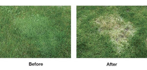 Tenacity Turf Herbicide - 8 ounces (Packaging may vary)
