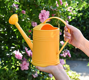 OKREK Watering Cans for House Plants, Small, Indoor/Outdoor Plants Garden Flower (1/2 Gallon, Black)