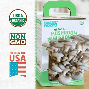 Back to the Roots Organic Mini Mushroom Grow Kit, Harvest Gourmet Oyster Mushrooms In 10 days, Top Gardening Gift, Holiday Gift, & Unique Gift