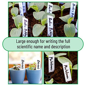 Mr. Pen- Plastic Plant Labels, 100 Pcs, 4“, White, Plant Markers and Labels for Outdoor Garden Waterproof, Plant Name Tags, Planting Sticks for Seeds