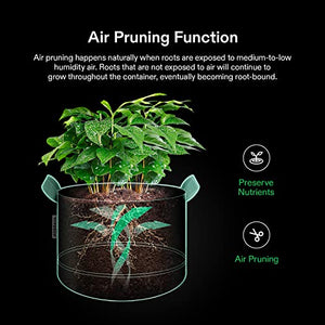 VIVOSUN 4' x 2' Complete Grow Tent Kit - 4 Inch 203 CFM Air Filtration Kit, 4' x 2' Grow Tent, 5-Pack 5 Gallon Grow Bags, 5' x 15' Trellis Netting and Hygrometer