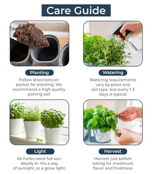 Organic Herb Seeds for Planting, Indoor Outdoor and Hydroponic Garden, incl Basil Cilantro Mint and Dill Seeds, Non GMO and USDA Certified Organic, Gardening Variety Pack