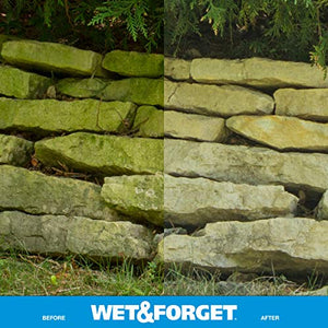 Wet & Forget Moss, Mold, Mildew, & Algae Stain Remover Multi-Surface Outdoor Cleaner Concentrate, Original, 64 Fluid Ounces
