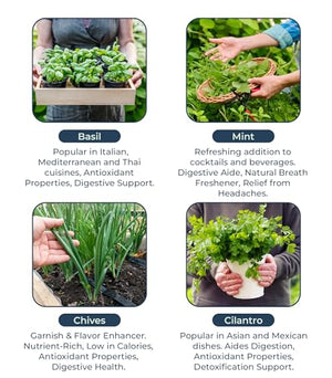 Organic Herb Seeds for Planting, Indoor Outdoor and Hydroponic Garden, incl Basil Cilantro Mint and Dill Seeds, Non GMO and USDA Certified Organic, Gardening Variety Pack