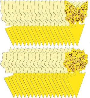 36 Pack Sticky Traps Plant Trap for Fungus Gnat, Fruit Fly Traps for Mosquito and Bug Indoor & Outdoor, Pest Insect Catcher Killer