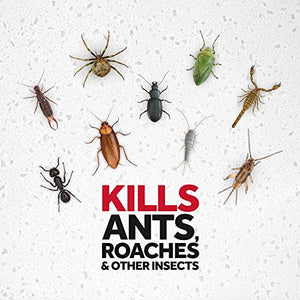 Raid Ant & Roach Killer 26, Fragrance Free Bug Killer for Home Use, Kills Bugs on Contact, 17.5 Oz, 2 Count