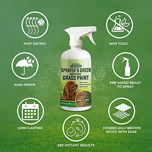 PetraTools Green Grass Paint for Lawn, Ready-To-Use Green Grass Lawn Spray & Dog Spot Repair, Lawn Paint, Spray on Grass, Green Lawn Spray, Green Grass Spray Paint for Lawn Yellow & Urine Spots, 16 Oz