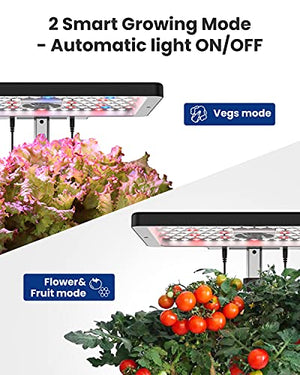 iDOO 12 Pods Hydroponics Growing System with 6.5L Water Tank, Hydro Indoor Herb Garden Up to 14.5", Plant Germination Kit with Pump System, Fan, Grow Light for Home Kitchen Countertop Gardening