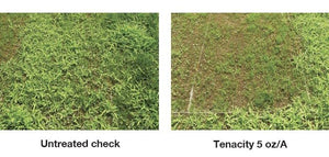 Tenacity Turf Herbicide - 8 ounces (Packaging may vary)