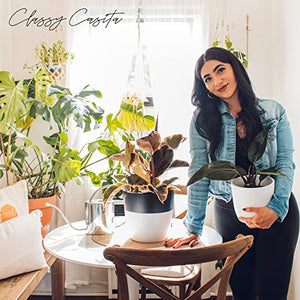 Classy Casita Soil Moisture Meter: Houseplant Care with eBook - Hydrometer Sensor For Plants - Essential Moisture Meter for Indoor & Outdoor Plants - Gardening Gadgets & Houseplant Accessories - White