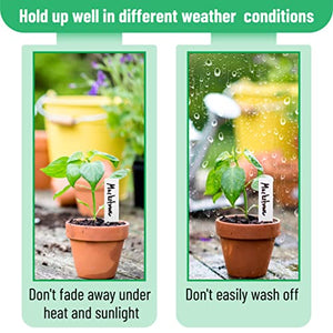 Mr. Pen- Plastic Plant Labels, 100 Pcs, 4“, White, Plant Markers and Labels for Outdoor Garden Waterproof, Plant Name Tags, Planting Sticks for Seeds