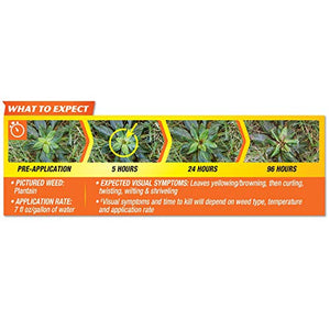 Spectracide Weed Stop For Lawns Plus Crabgrass Killer, Ready-to-Use, 1 gallon