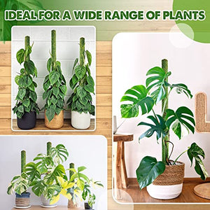 DUSPRO 2Pack 38'' Green Stackable Mesh Moss Pole for Plants Climbing Vine Supporting Monstera Trellis, for Indoor Plants Extendable Plant Pole Moss Sticks, for Plants Monstera Potted Plant Stakes