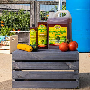 MICROBE LIFE HYDROPONICS Premium Photosynthesis Plus Liquid Nutrients for Hydroponics to Grow Fruits, Vegetables, and Herbs, The Best Professional Big Bud Grow, 16 Ounces
