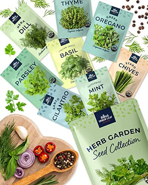 Organic Herb Seeds for Planting, Indoor Outdoor and Hydroponic Garden, incl Basil Cilantro Mint and Dill Seeds, Non GMO and USDA Certified Organic, Gardening Variety Pack