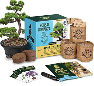 Bonsai Tree Kit - Grow 3 Mini Bonsai Trees, Indoor Plant Growing Kit - Bonsai Starter Kit with Bonsai Seeds, Soil, Planters & Shears, Gardening Gifts for Women, Fathers Day Gardening Gifts