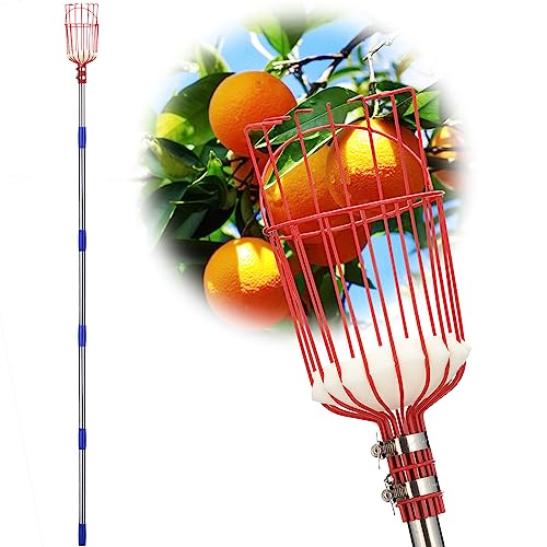 Fruit Picker Pole with Basket Long Handle, 8FT Adjustable Fruit Catcher Tool for Apple Mango Pear Orange Avocado Lemon Citrus Tree Picker