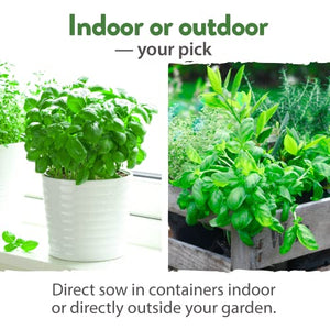 15 Culinary Herb Seeds - Heirloom & Non GMO - High Germination Rate - Seeds for Planting Indoor Hydroponic or Outdoor Herbs Garden | Gardening Gift Men Women Gardeners - Basil, Cilantro, Mint