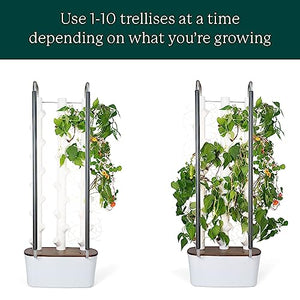 Gardyn Trellis Hydroponics Growing System Accessory That Supports Vining Plants – 10 Pack (for use with All Gardyn Vertical Indoor Garden Hydroponic Growing Systems and Tower Gardens)