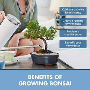 Bonsai Tree Kit - Grow 3 Mini Bonsai Trees, Indoor Plant Growing Kit - Bonsai Starter Kit with Bonsai Seeds, Soil, Planters & Shears, Gardening Gifts for Women, Fathers Day Gardening Gifts