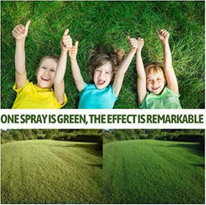 2022 New Upgraded Green Grass Lawn Spray, Environmentally Friendly Pet-Friendly Green Again Green Sprayer, Lawn Colorant Turns Spots Green Again, 60ml (1pcs)