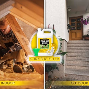 Harris Stink Bug Killer, Liquid Spray with Odorless and Non-Staining Extended Residual Kill Formula with Funnel and Sprayer (Gallon)