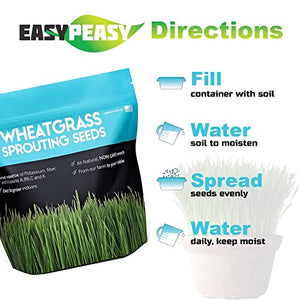 Wheatgrass Seeds | Non GMO | Grown in USA Wheat Grass Seeds | from Our Farm to Your Table (1 Pound)