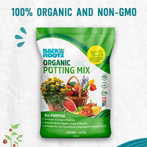 Back to the Roots All-Purpose Potting Soil (6 Quarts), 100% Organic & USA Made, for Indoor and Outdoor Plants, Succulents, Flowers, and Vegetables
