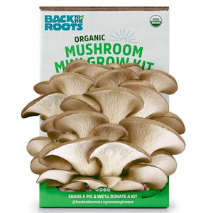 Back to the Roots Organic Mini Mushroom Grow Kit, Harvest Gourmet Oyster Mushrooms In 10 days, Top Gardening Gift, Holiday Gift, & Unique Gift