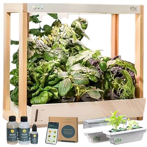 Rise Gardens Personal Garden and Starter Kit | Hydroponics Growing System, Wi-Fi & App Controlled Indoor Garden with Growing Lights & Self-Watering System | Includes 8 Seed Pods & 6 Weeks Nutrients